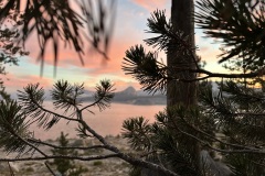 IMG_0658