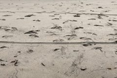 IMG_6895-scaled