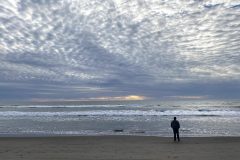 IMG_6896-scaled