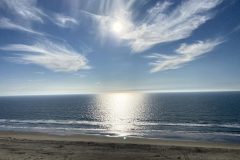 IMG_6905-scaled